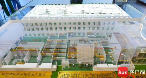 美安科技新城 打造創(chuàng)新藥企新高地，引領珍稀中藥材替代與軟件科技融合發(fā)展