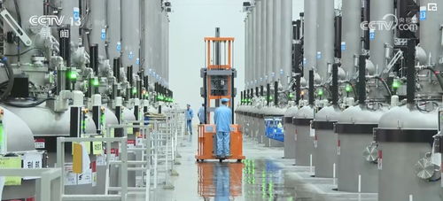 軟件科技驅動綠色低碳新興產業 高起點發展與巨大市場潛力